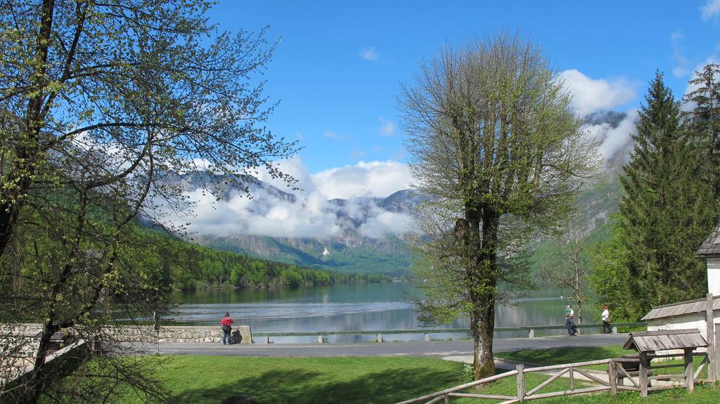 Apartment Zalokar Bohinj Ruang foto