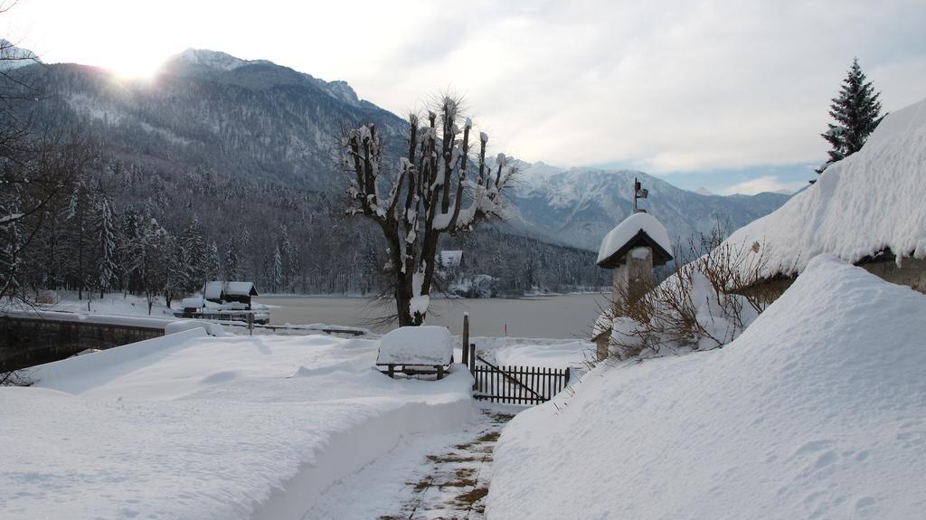 Apartment Zalokar Bohinj Ruang foto