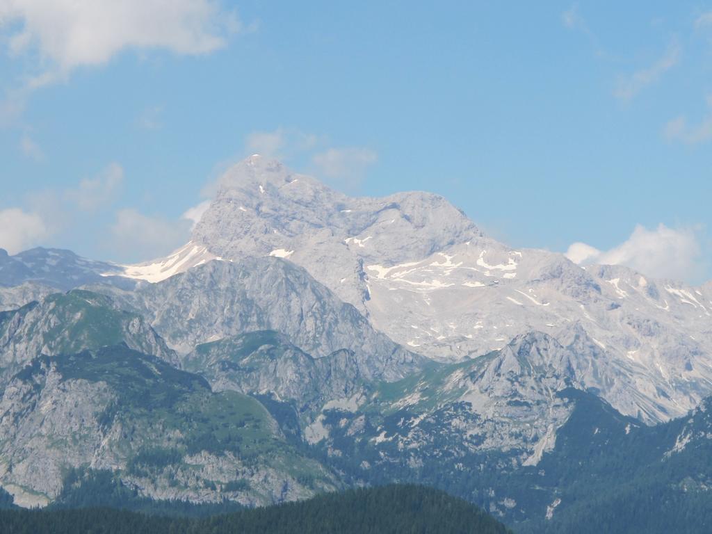 Apartment Zalokar Bohinj Bagian luar foto